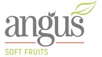 Angus Soft Fruits